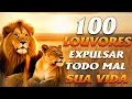 Download Lagu Louvores de Adoração 2025 || Seleção 50 mais tocadas - Hinos Que Trazem Paz No Lar (É Adorar )