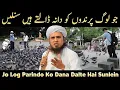 Download Lagu Jo Log Parindo Ko Dana Dalte Hai Sunlein | Mufti Tariq Masood | Al Ahsan Acedemy