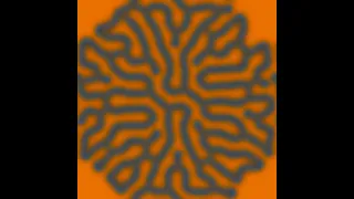 Reaction Diffusion Algorithm seamless