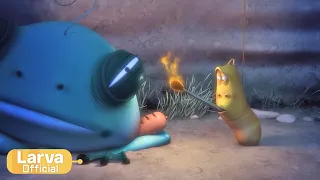 Pit | Animation Compilation | Larva Tuba | Official