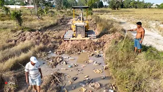 New Start A job Epic !! Komatsu D31p Dozer Clear Soil, Land Clear with Tree, Skillful Action