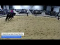 Ocala Horse Sale - Ocala Florida