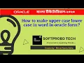 How to make upper case lower case in word in oracle form