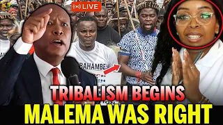 malema was right south africans chased foreigners now tribalism is tearing them apart 