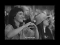 Marisa Monte - Bem Que Se Quis (Lyric video versão MMFãs)