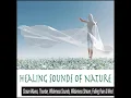 Rain With Distant Thunder for Relaxation - Robbins Island Music Group