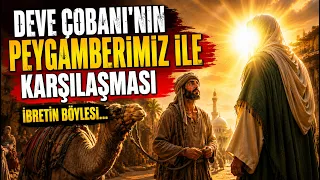 Deve Çobanı İle Peygamberimizin İbret Veren Hikayesi