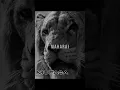 Download Lagu the lion king prequel: mufasa movie quick recap! disney,s epic story #shorts  #mufasa #emotional