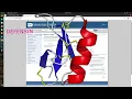 Multiple Sequence Alignment Clustal Omega Bioinfo Tutorial
