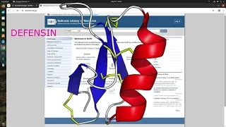 Multiple Sequence Alignment Clustal Omega Bioinfo Tutorial