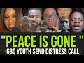 Lagu “From Peace to Fear: Igbo Youth Sound Warning in the Southeast”