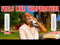Feels Like Temperature What It Really Means and How It s Calculated