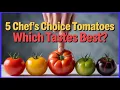 Lagu I Grew All 5 Chef’s Choice Hybrid Tomatoes… Here’s the Winner!
