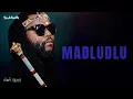 Sjava - Madludlu (Official Lyric Video)
