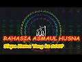 Download Lagu Rahasia Asmaul Husna, Siapa Nama Yang Ke 100 || Gus Mukhlason Rosyid || Ponpes Jayabaru || MP3