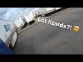 Walmart loads LOT LIZARDS