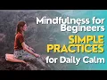 Mindfulness Made Easy Simple Daily Practices for a Calm Mind