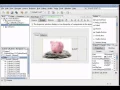 Designing GUI for Sample Java Application - English