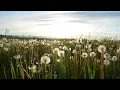 Webinar 3 - Climate Foresight and Governance The RE-IMAGINE Project