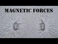 Faraday Magnetic Fields