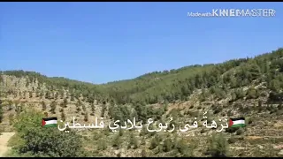 الت نو ع الحيوي في فلسطين دندنها