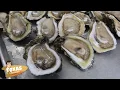 Texas Chronicles Pit Stop Gilhooley s Restaurant and Oyster Bar