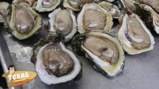 Texas Chronicles Pit Stop Gilhooley s Restaurant and Oyster Bar