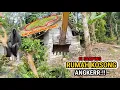 Download Lagu Gusur lahan karet pas di samping rumah kosong yang atap rumah nya sampai berlumut