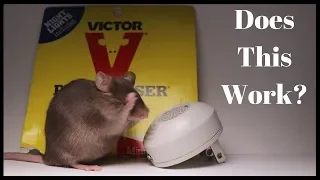 Download Testing Out the Victor PESTCHASER Ultrasonic Rodent Repeller. Does It Work MP3