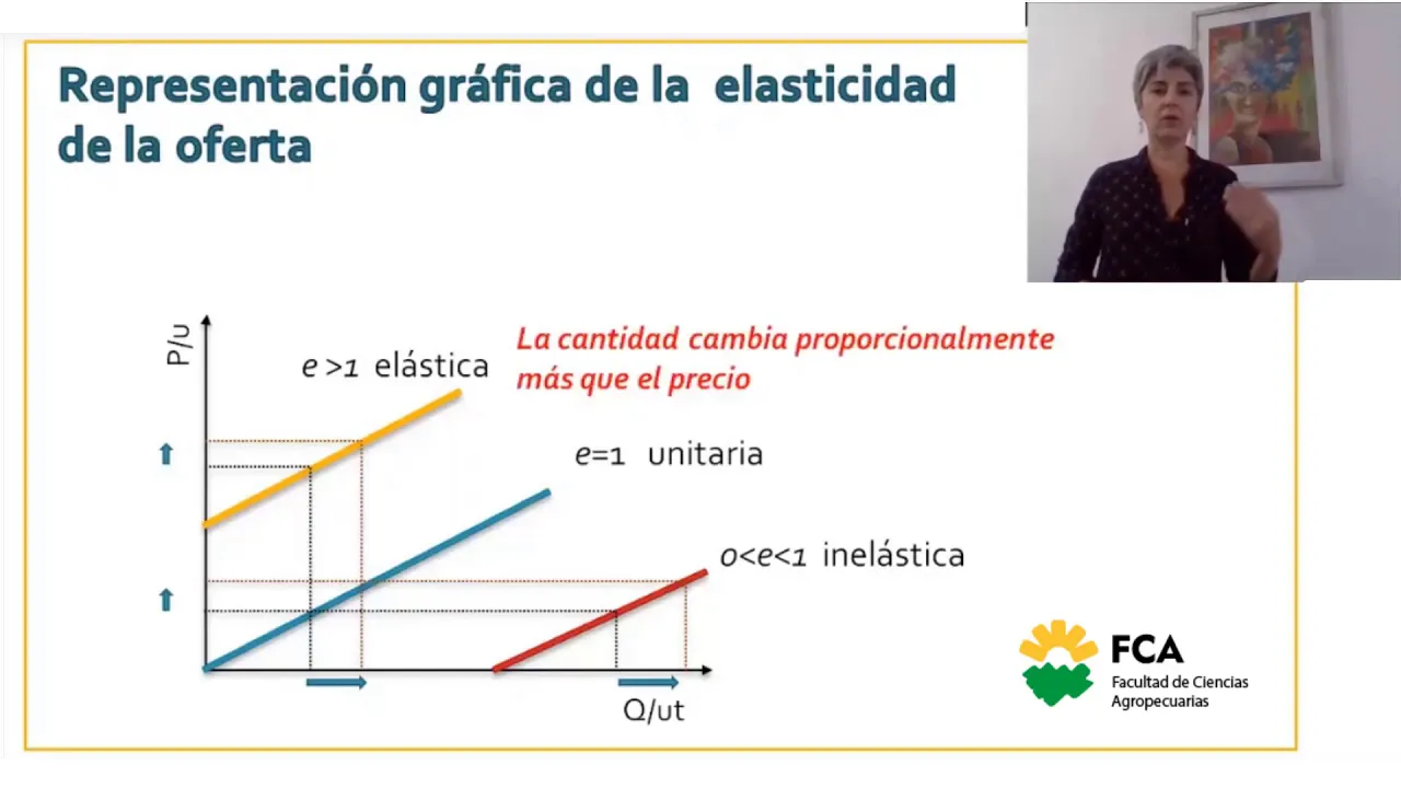 ELASTICIDAD GRAFICO