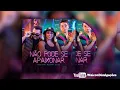 Download Lagu Não Pode se Apaixonar - Xand Avião, MC Danny \u0026 DJ Ivis