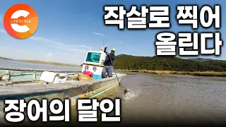 “남들이 보면 한심하다 그래요” 낚싯대 하나 없이 배 한가득 채운다. 작살로 살살 훑어 찍어 올리는 장어 잡이의 달인ㅣ#한국기행