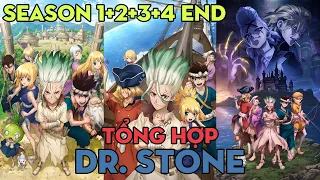 TỔNG HỢP "Em yêu khoa học thời kỳ đập đá - Dr. Stone" Season 1+2+3+4 END | AL Tổng Hợp