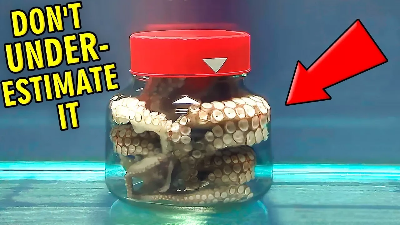 Look What Happens to the Octopus Locked up in a Jar. 8 Smart Animals