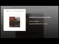 Sound Of Wind Driven Rain