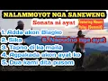 SANEWENG NGA NALAMMOYOT A DENGGEN SONATA NGA MAKAPARELAX