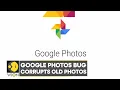 Download Lagu Google photos bug corrupting old photos, affects both Android and iOS users | Latest News | WION