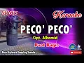 Download Lagu PECO PECO_Bugis KARAOKE Keyboard Tanpa Vocal_Cipt  Alhamid