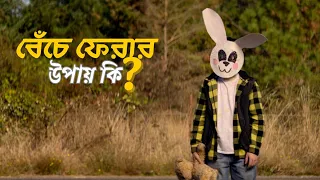 cabin fever 2016 movie explained in bangla horror thriller fiction unlocked