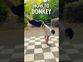 Download Lagu How to Break Dance DONKEY - Easy Tutorial