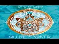 Download Lagu Ayla Schafer ⋄ Silent Voices (full album)