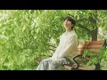 [Visualizer] '벚꽃이 내리는 봄길 위에서 우리 다시 만나요 (We, On The Spring Road)' | 정승환 DS [봄에]