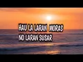 Hau la laran moras no laran susar
