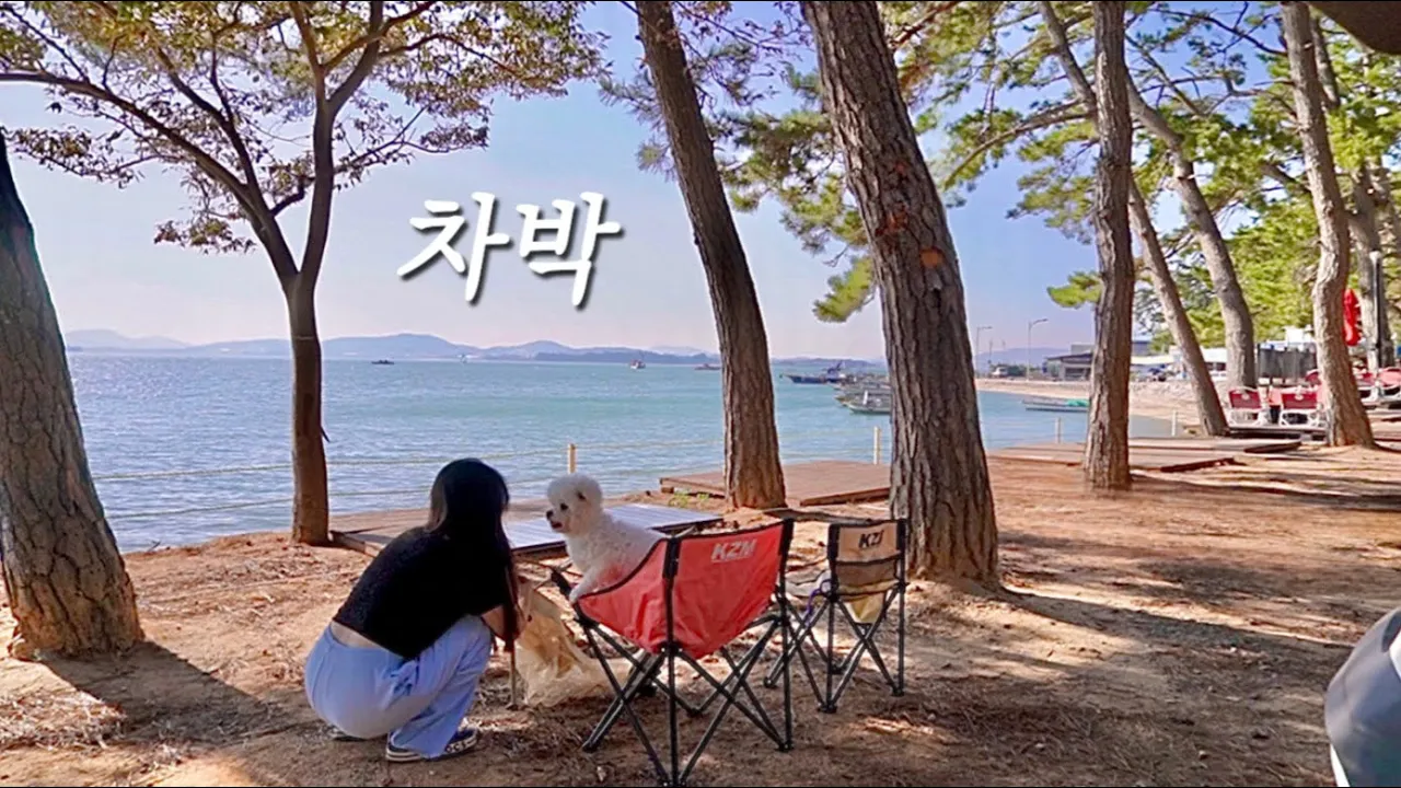 나만 알 수 없지!  완전 마음에 드는 차박지를 찾았어요 | 솔로 차박 | 반려견 동반 | 브리즈문 꼬리텐트 | 라이노 화로대 | 전남 무안 홀통183캠핑장 썸네일