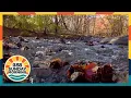 Moment in Wisconsin Oak Creek