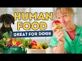 Seven Lesser-Known Human Foods That Are Safe Effective and Healthy for Dogs