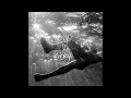 RIN - commitment issues (slowed)