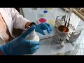 Gram Staining PG Practical Microbiology