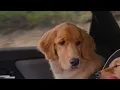 Squeak | Subaru Solterra EV Dog Tested TV Commercial :30