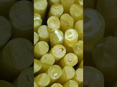 SPAGHETTI UNDER A MICROSCOPE